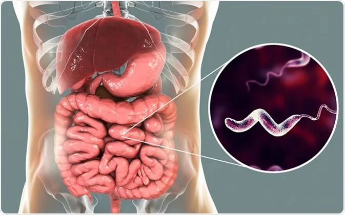 how long does food poisoning last