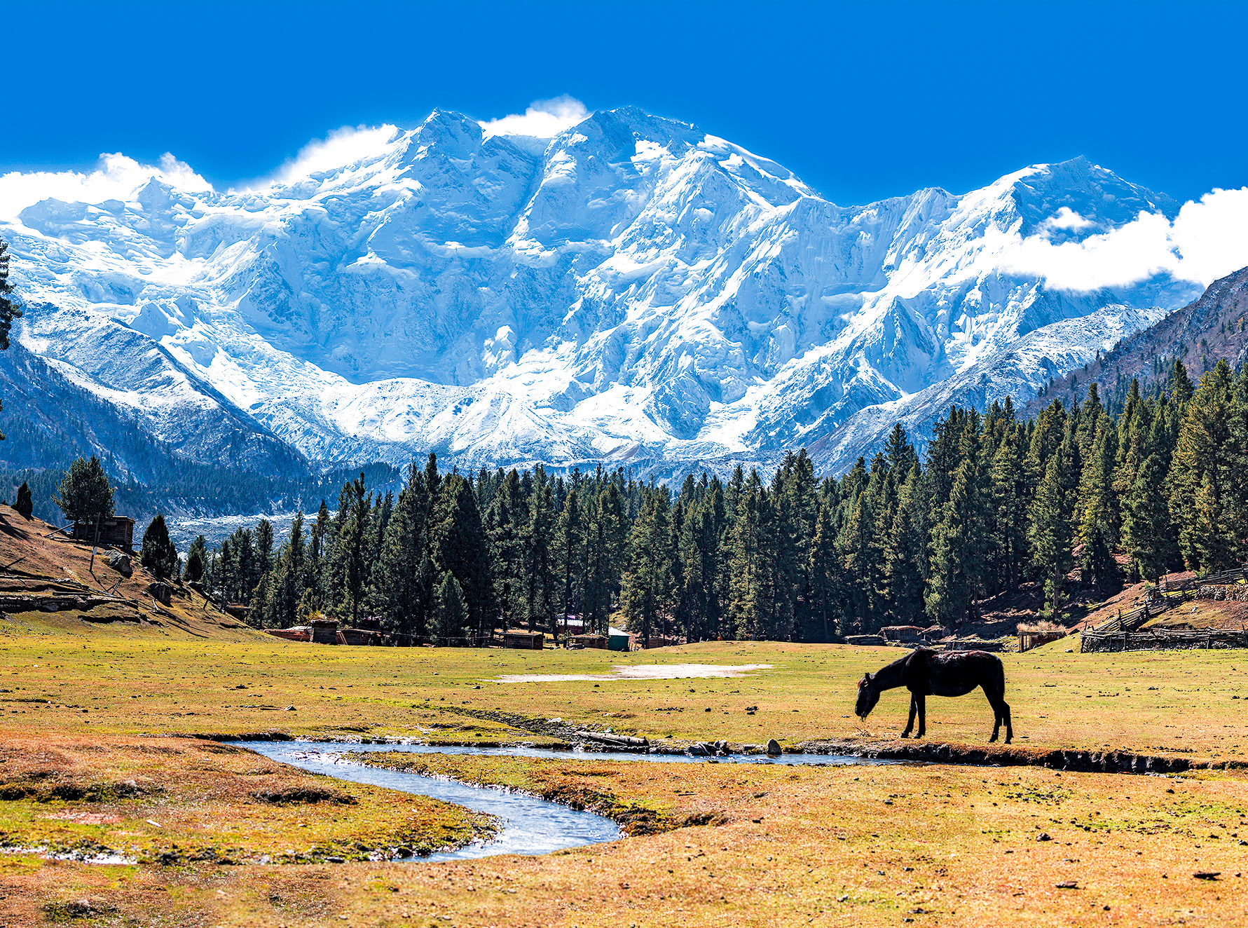 highest mountain in the world