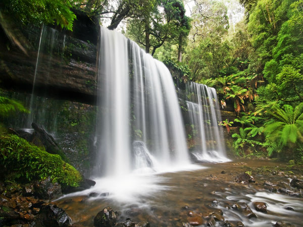 highest waterfall in India