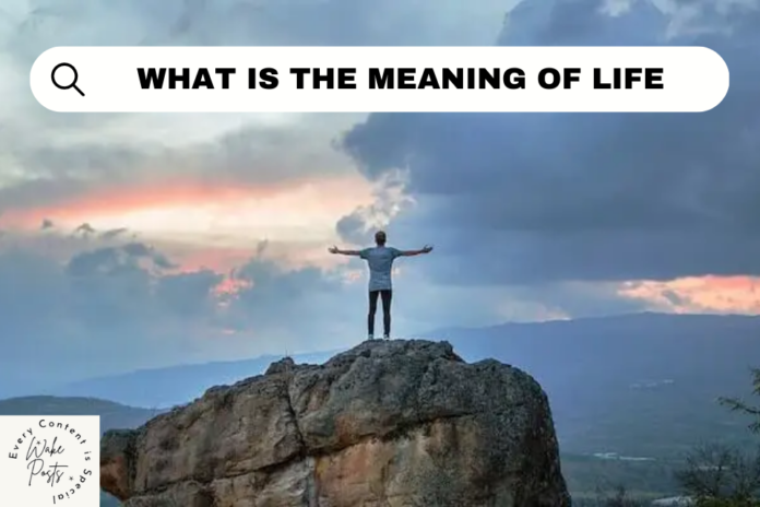 what is the meaning of life