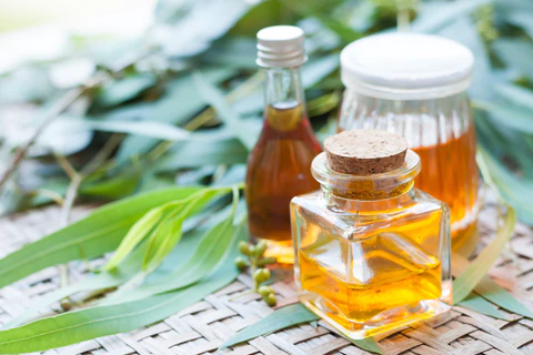 Eucalyptus oil