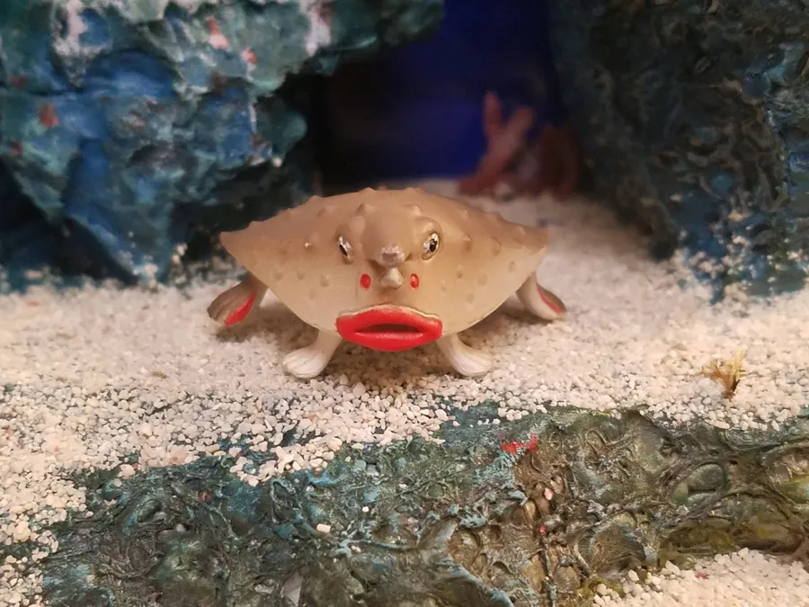 Red-Lipped Batfish