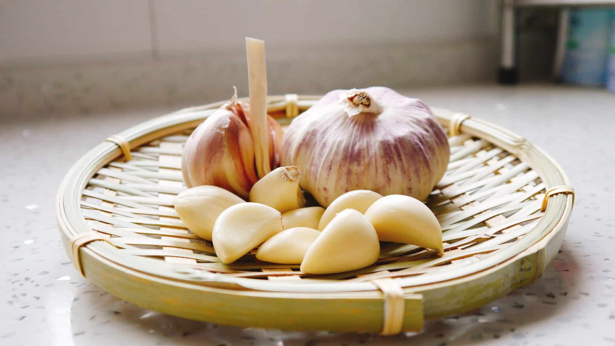 garlic