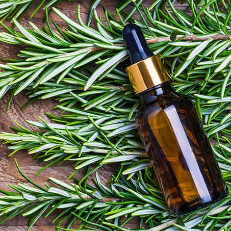 rosemary oil