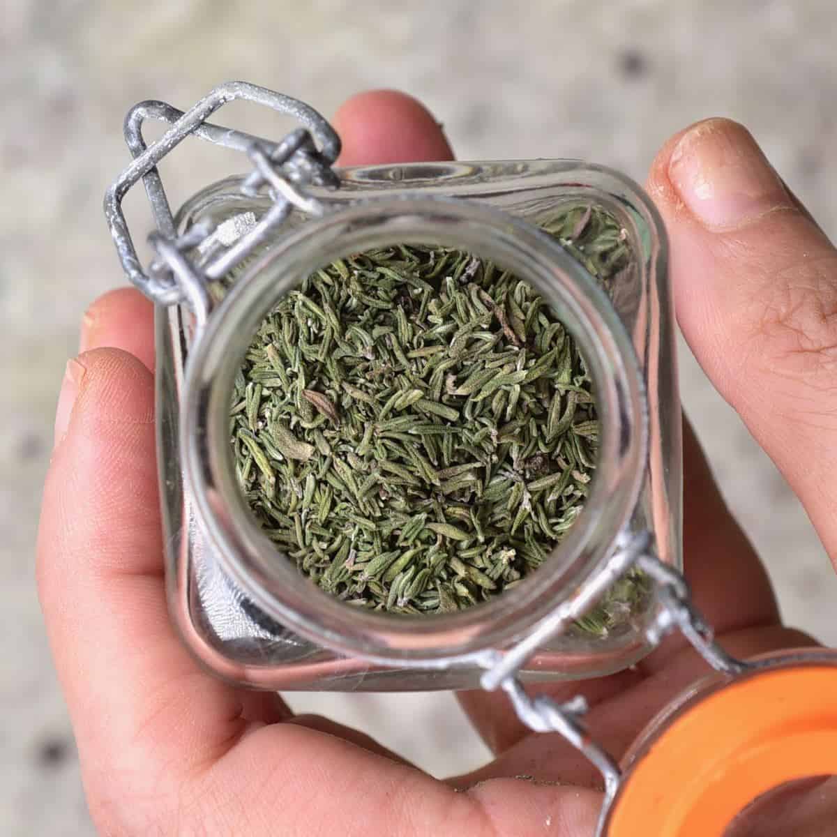 thyme