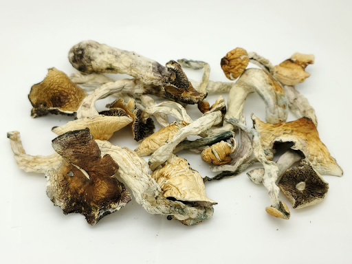 How Long Do Shrooms Stay In Your System